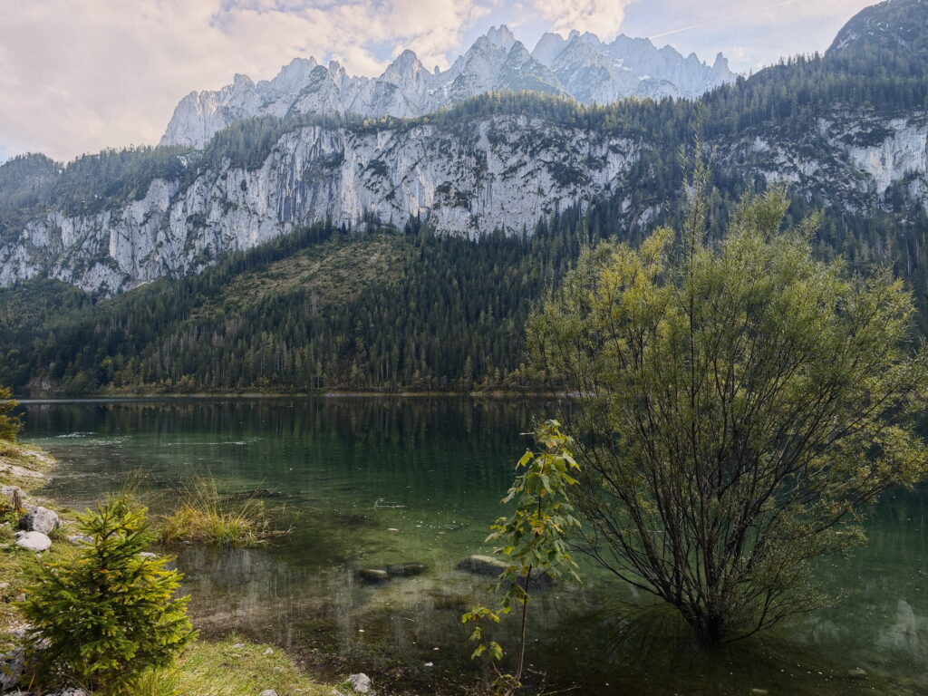 Der Gosaukamm vom Vorderen Gosausee gesehen