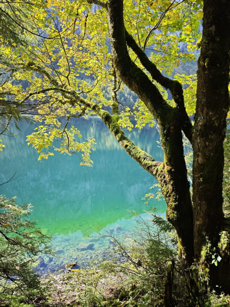 Gosausee Rundweg im Herbst - extrem farbenreich bei Sonnenschein